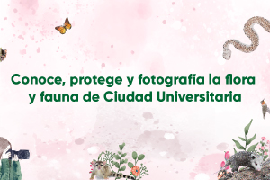 concurso-33-conoce-protege-y-fotografia-flora-y-fauna-ciudad-universitaria-220811_104908-549.jpg